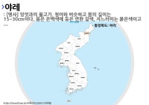 사투리 야리의 뜻과 활용