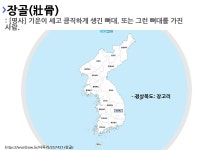 사투리 장고리의 뜻과 활용