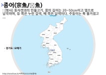 사투리 요메기의 뜻과 활용