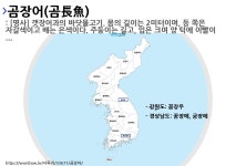 사투리 굼장에의 뜻과 활용