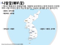 사투리 나발꼿의 뜻과 활용