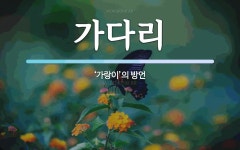 가다리 뜻: ‘가랑이’의 방언