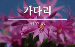 가다리 뜻: ‘재방어’의 방언