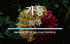 가등 뜻: 형벌의 등급을 원래 정한 것보다 더 높여 무겁게 하던 일.