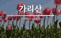 가리산 뜻: ‘가리사니’의 준말.