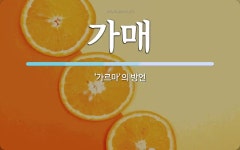 가매 뜻: ‘가르마’의 방언