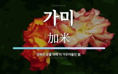 가미 뜻: 정해진 공물 외에 더 거두어들인 쌀.