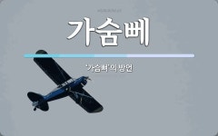 가숨뻬 뜻: ‘가슴뼈’의 방언