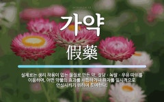 가약 뜻: 실제로는 생리 작용이 없는 물질로 만든 약. 젖당ㆍ녹말ㆍ우유 따위를 이용하며, 어떤 약물의