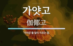 가얏고 뜻: ‘가야금’을 달리 이르는 말.