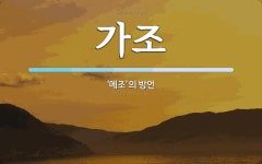 가조 뜻: ‘메조’의 방언