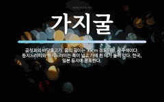 가지굴 뜻: 곰칫과의 바닷물고기. 몸의 길이는 35cm 정도이며, 자주색이다. 등지느러미와 뒷지느러미는