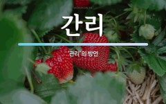 간리 뜻: ‘관리’의 방언