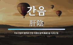 간음 뜻: 주로 간장의 혈액과 간장 자체의 음액(陰液)을 이르는 말.