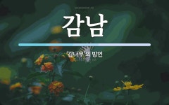 감남 뜻: ‘감나무’의 방언