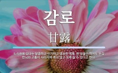 감로 뜻: 도리천에 있다는 달콤하고 신기하고 영묘한 액체. 한 방울만 먹어도 온갖 번뇌와 고통이 사라
