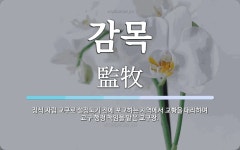 감목 뜻: 정식 자립 교구로 설정되기 전에 포교하는 지역에서 교황을 대리하여 교구 행정 책임을 맡은 감목 뜻: 정식 자립 교구로 설정되기 전에... 