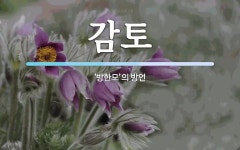 감토 뜻: ‘방한모’의 방언