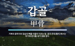 갑골 뜻: 거북의 등딱지와 짐승의 뼈를 아울러 이르는 말. 중국 은대(殷代)에서는 여기에 문자를 새겨