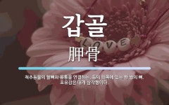 갑골 뜻: 척추동물의 팔뼈와 몸통을 연결하는, 등의 위쪽에 있는 한 쌍의 뼈. 포유강은 대개 삼각형이