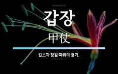 갑장 뜻: 갑옷과 창검 따위의 병기.