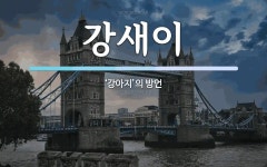 강새이 뜻: ‘강아지’의 방언