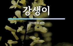 강생이 뜻: ‘강아지’의 방언
