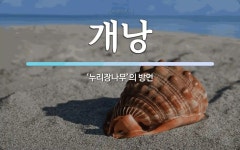 개낭 뜻: ‘누리장나무’의 방언