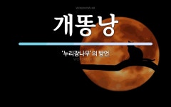 개똥낭 뜻: ‘누리장나무’의 방언