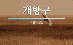 개방구 뜻: ‘소름’의 방언