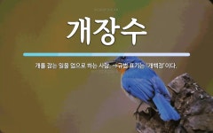 개장수 뜻: 개를 잡는 일을 업으로 하는 사람. ⇒규범 표기는 ‘개백정’이다.