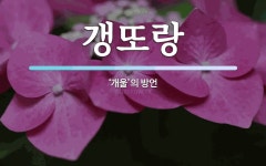 갱또랑 뜻: ‘개울’의 방언