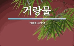 거랑물 뜻: ‘개울물’의 방언