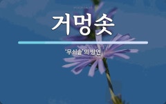 거멍솟 뜻: ‘무쇠솥’의 방언