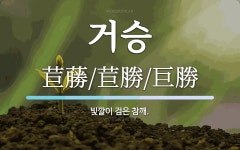 거승 뜻: 빛깔이 검은 참깨.
