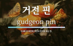 거전 핀 뜻: 타(舵)의 회전축 하단의 힌지에 꽂는 핀. 거전 핀 뜻: 타(舵)의 회전축 하단의 힌지에 꽂는 핀.