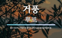 거풍 뜻: 쌓아 두었거나 바람이 안 통하는 곳에 두었던 물건을 바람에 쐼.