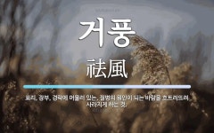 거풍 뜻: 표리, 장부, 경락에 머물러 있는, 질병의 원인이 되는 바람을 흐트러뜨려 사라지게 하는 것