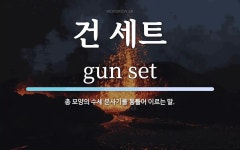 수세건 | 건 세트 뜻: 총 모양의 수세 분사기를 통틀어 이르는 말.