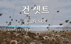 수세건 | 건 셋트 뜻: 총 모양의 수세 분사기를 통틀어 이르는 말. ⇒규범 표기는 ‘건 세트’이다.