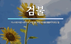 검불 뜻: 가느다란 마른 나뭇가지, 마른 풀, 낙엽 따위를 통틀어 이르는 말.