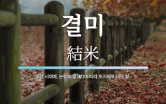 결미 뜻: 조선 시대에, 논밭의 결(結)에 따라 토지세로 내던 쌀.