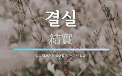 결실 뜻: 일의 결과가 잘 맺어짐. 또는 그런 성과.