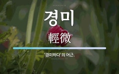 경미 뜻: ‘경미하다’의 어근.