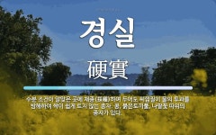 경실 뜻: 수분 조건이 알맞은 곳에 채종(採種)하여 두어도 씨껍질이 물의 투과를 방해하여 싹이 쉽게 경실 뜻: 수분 조건이 알맞은 곳에 채종(採種)... 