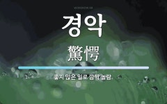 경악 뜻: 좋지 않은 일로 깜짝 놀람.