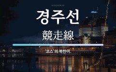 경주선 뜻: ‘코스’의 북한어.