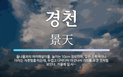 경천 뜻: 돌나물과의 여러해살이풀. 높이는 10cm 정도이며, 잎은 초록색이나 더러는 자줏빛을 띠는데