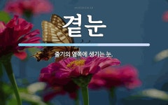 곁눈 뜻: 줄기의 옆쪽에 생기는 눈.