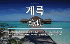 계륵 뜻: 닭의 갈비라는 뜻으로, 그다지 큰 소용은 없으나 버리기에는 아까운 것을 이르는 말. ≪후한